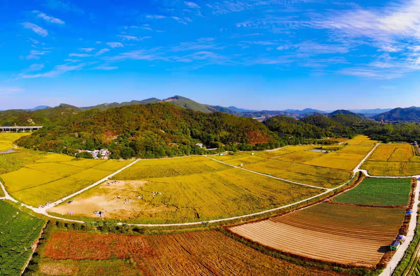 廣州增城倚豐農(nóng)場綜合營地