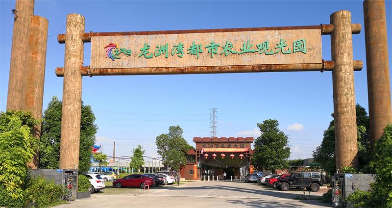 東莞龍洲灣都市農(nóng)業(yè)觀光園