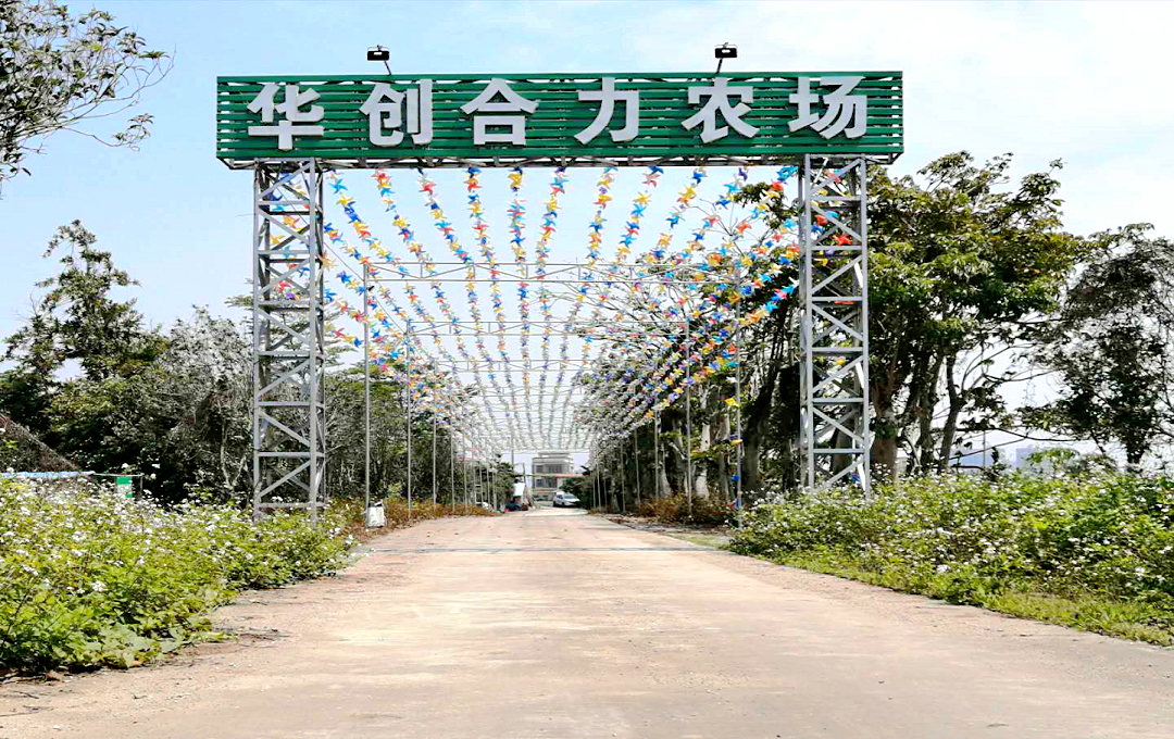 中山坦洲合力農場