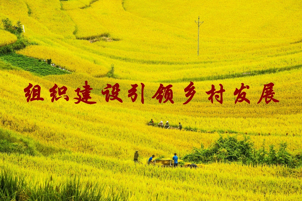 組織建設引領鄉(xiāng)村發(fā)展