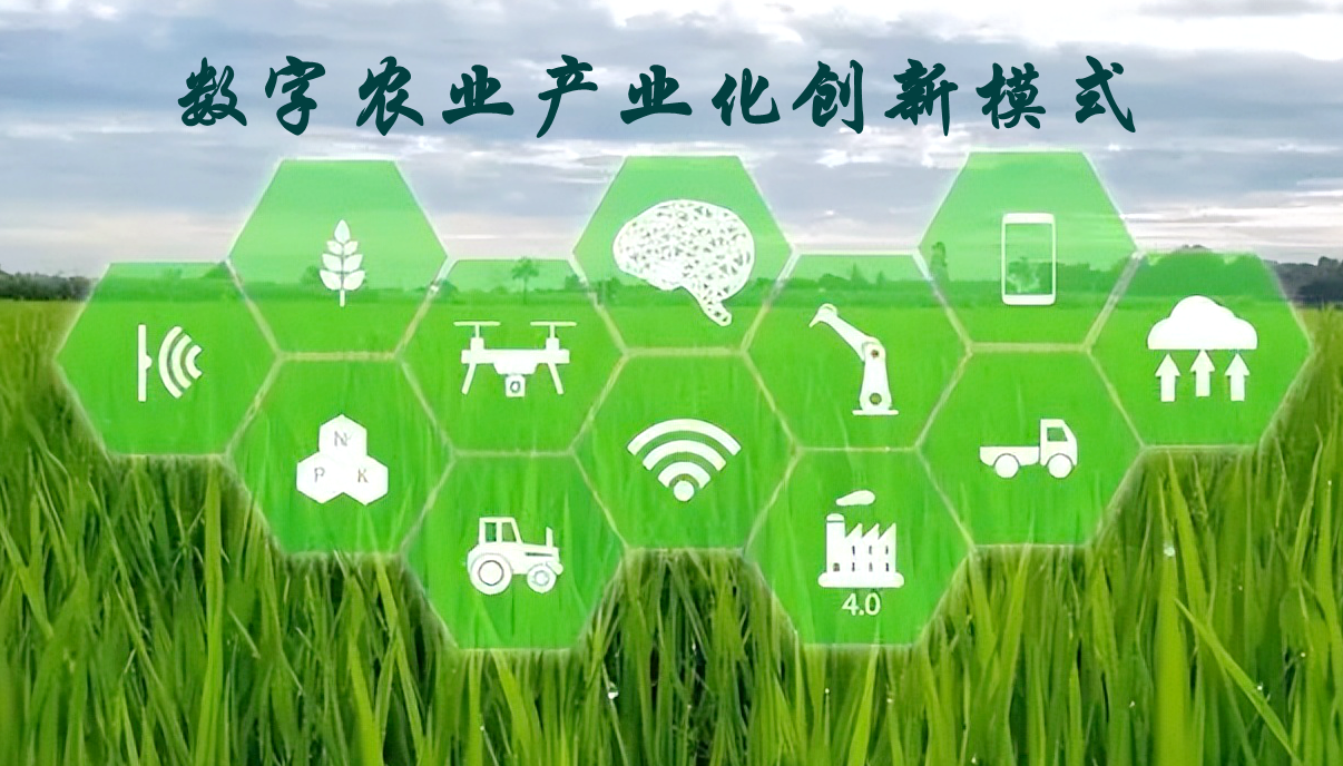 數(shù)字農(nóng)業(yè)產(chǎn)業(yè)化創(chuàng)新模式