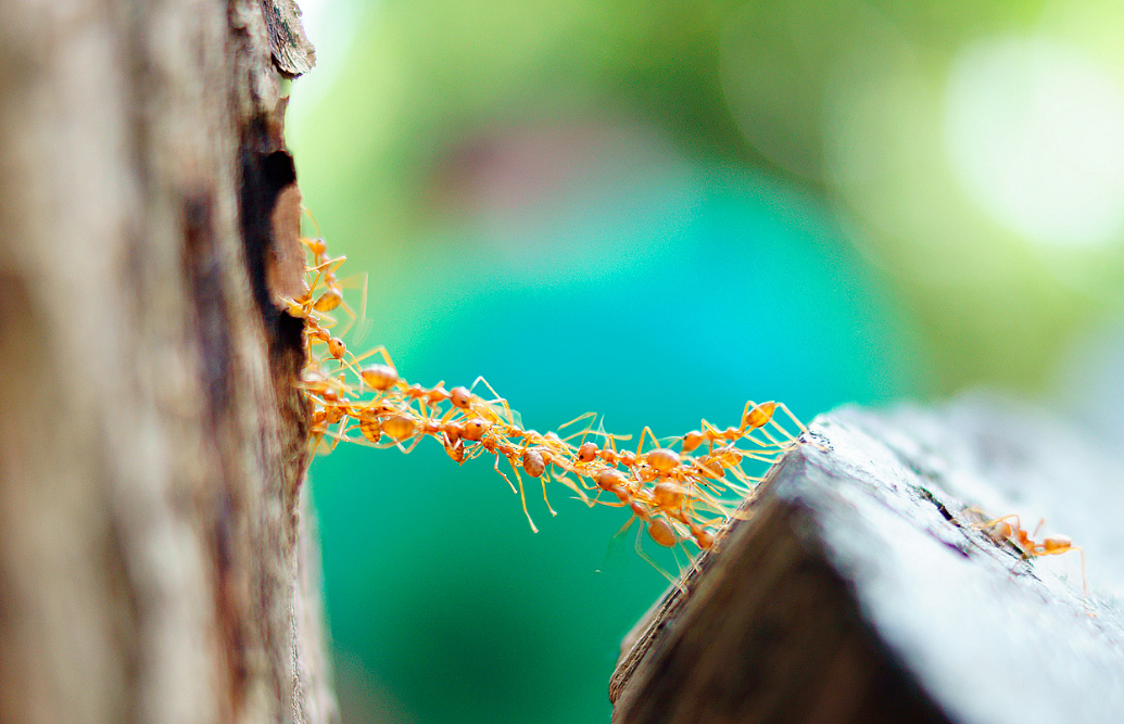 打造高績(jī)效團(tuán)隊(duì)與執(zhí)行力