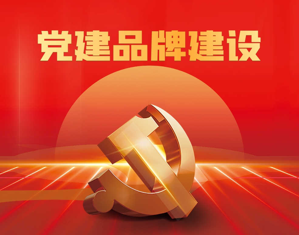 《黨建品牌建設(shè)》