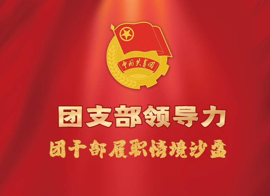 《團(tuán)支部領(lǐng)導(dǎo)力》團(tuán)干部履職情境沙盤(pán)