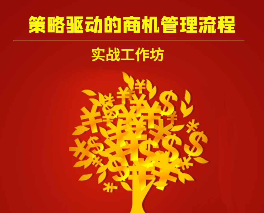 【策略驅(qū)動的商機管理流程】實戰(zhàn)工作坊