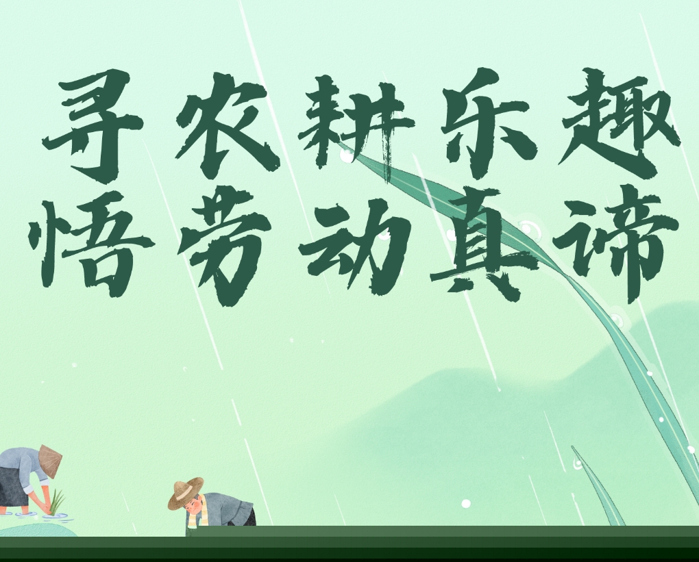 尋農(nóng)耕樂趣，悟勞動真諦--周末水稻主題研學