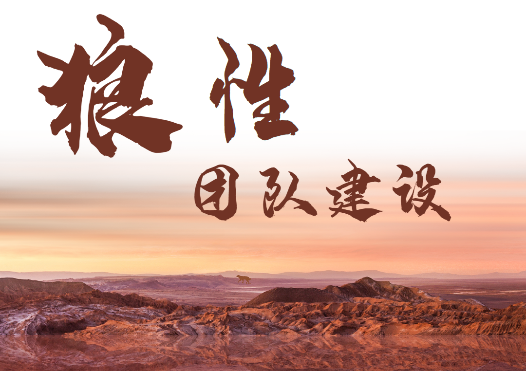 狼性團(tuán)隊建設(shè)（體驗(yàn)式年會）