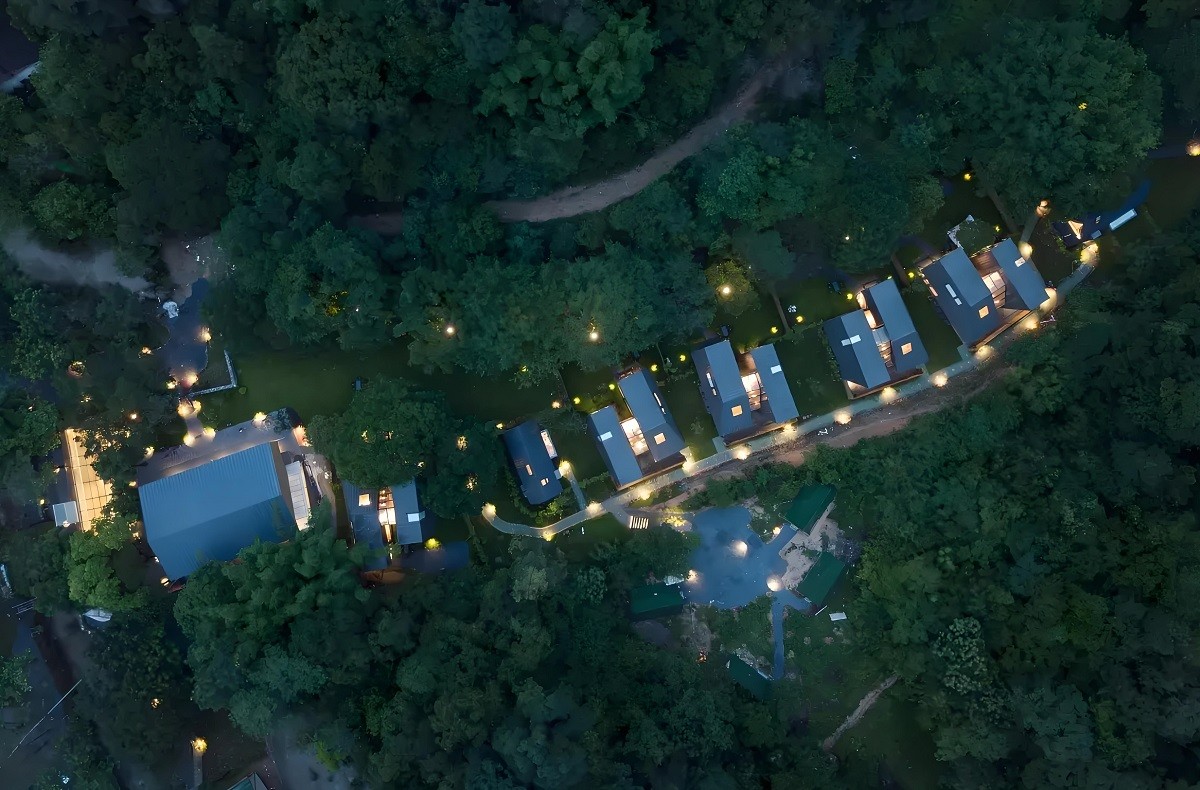 廣州花都愛樹·蝶的森林民宿營地