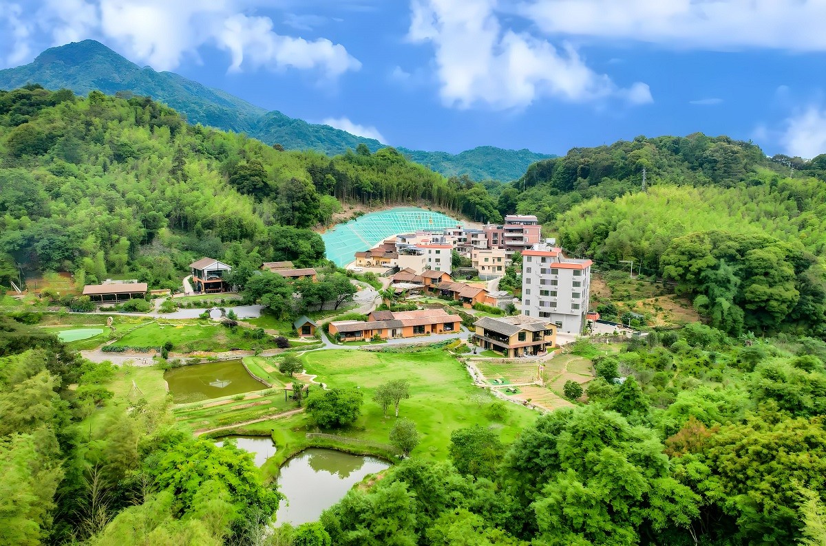 廣州林韻民宿營地