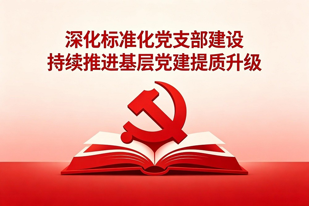 深化標(biāo)準(zhǔn)化黨支部建設(shè)，持續(xù)推進基層黨建提質(zhì)升級